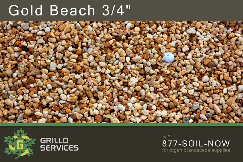 Gold Beach 3/4"