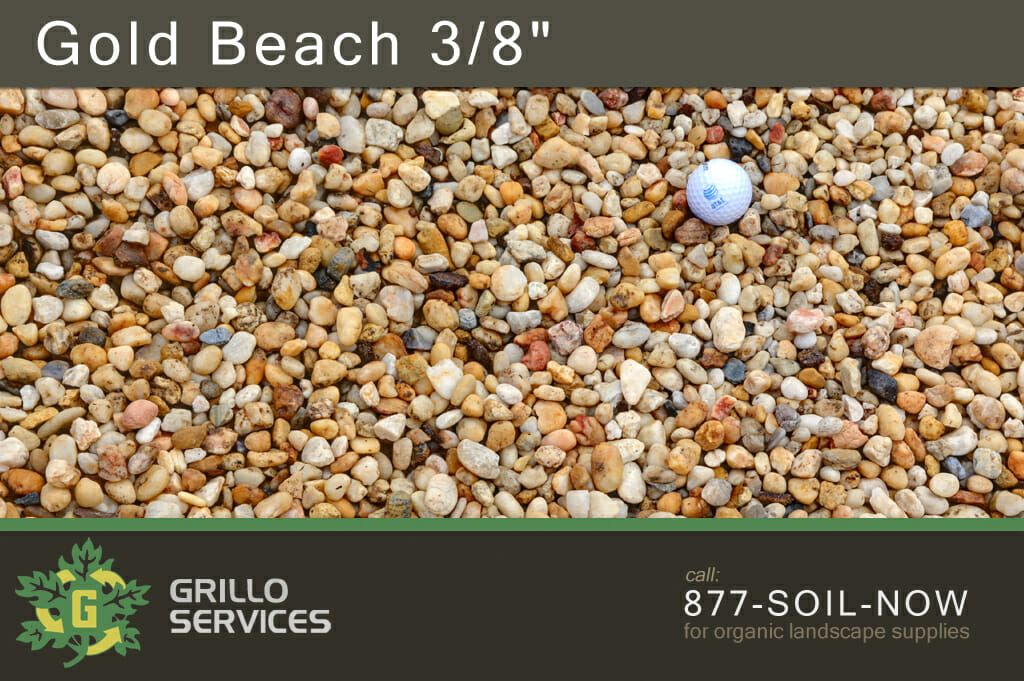 Gold Beach 3/8"
