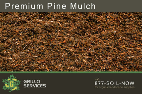 Premium Pine Bark Mulch