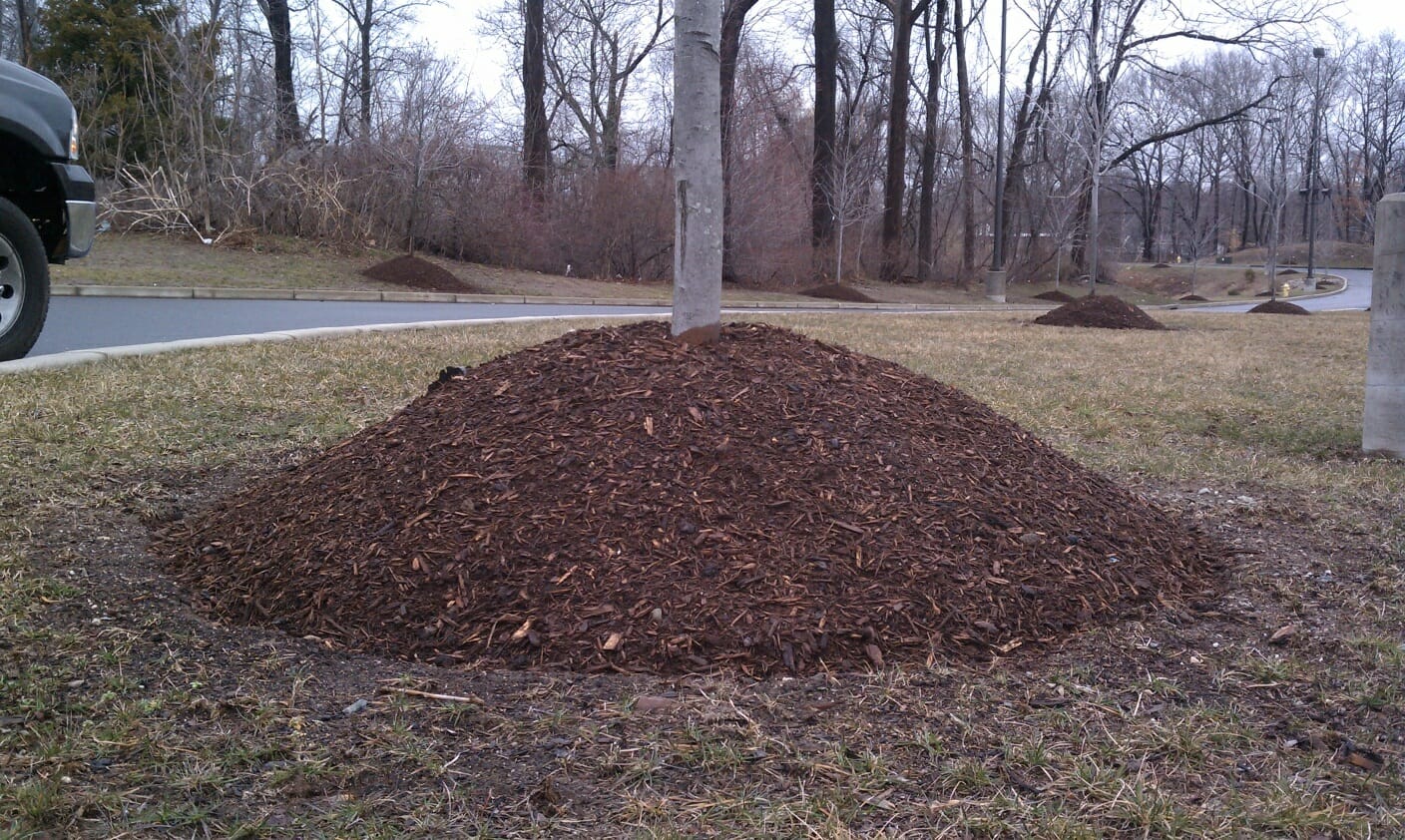 Image result for mulch volcanoes