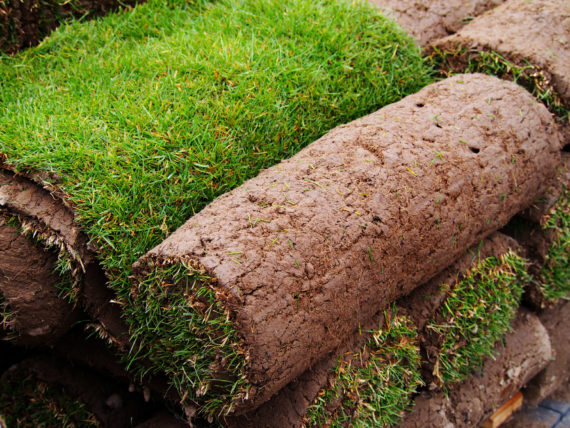 sod for sale, sod, sod for sale ct